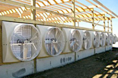 Dairy-Cross-Ventilation-Construction