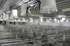 Farrowing-Crates-Inside-Sow-Unit