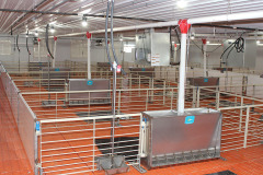 Inside-Nursery-Barn