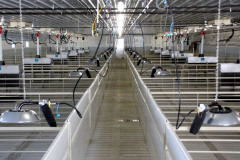 Inside-Triple-Wide-Barn